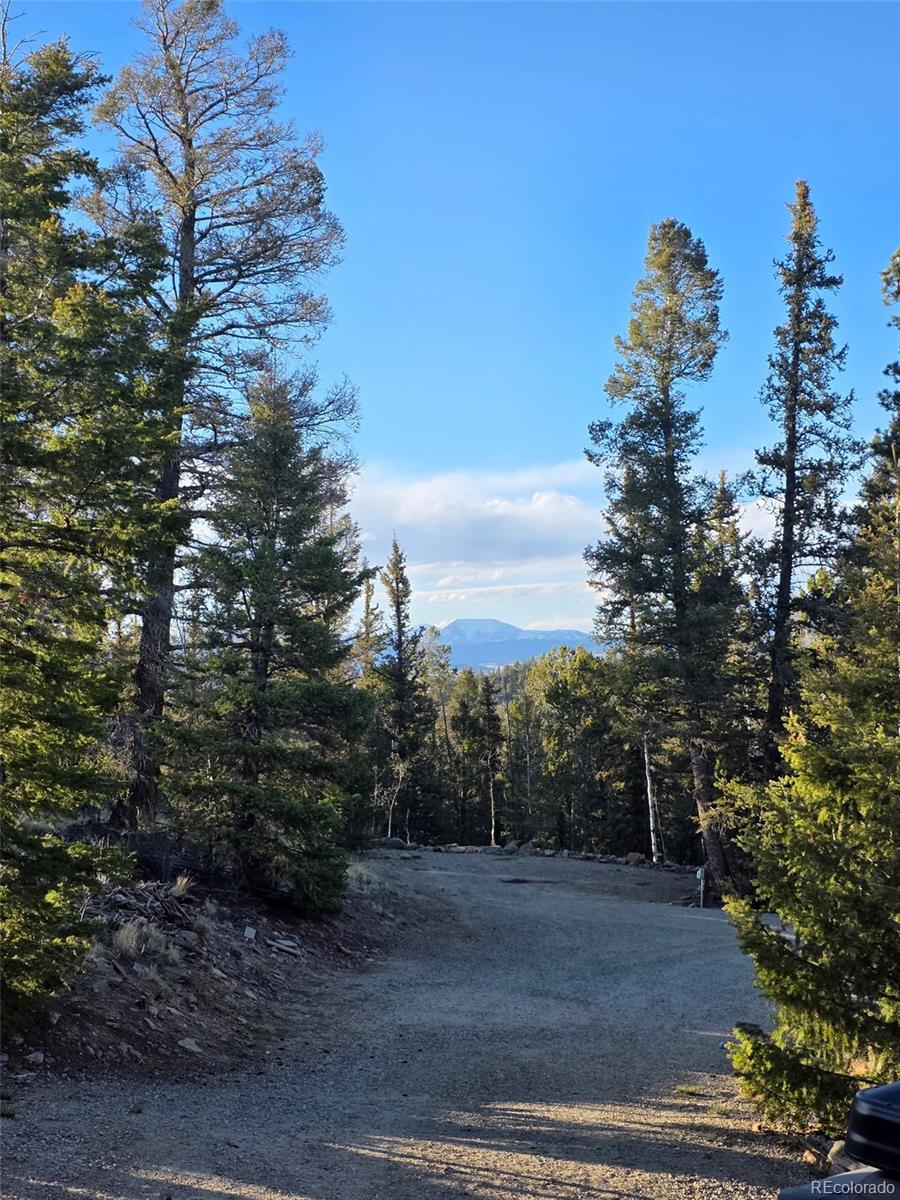 MLS Image #22 for 253  bear lane,jefferson, Colorado