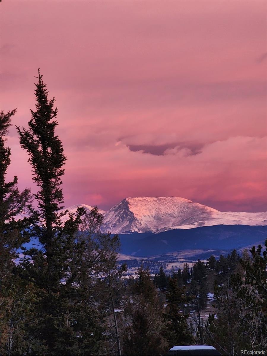 MLS Image #24 for 253  bear lane,jefferson, Colorado