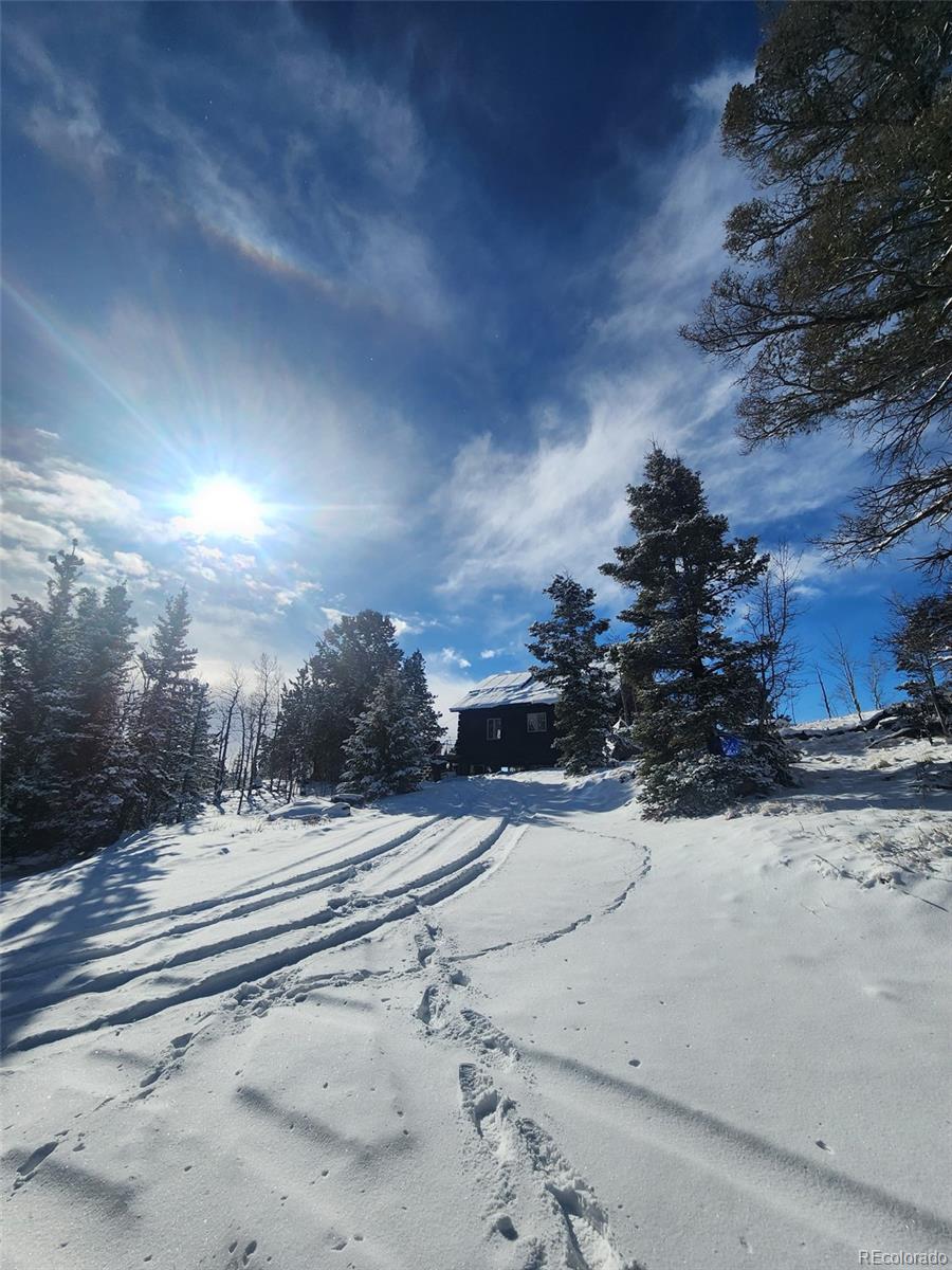 MLS Image #28 for 253  bear lane,jefferson, Colorado
