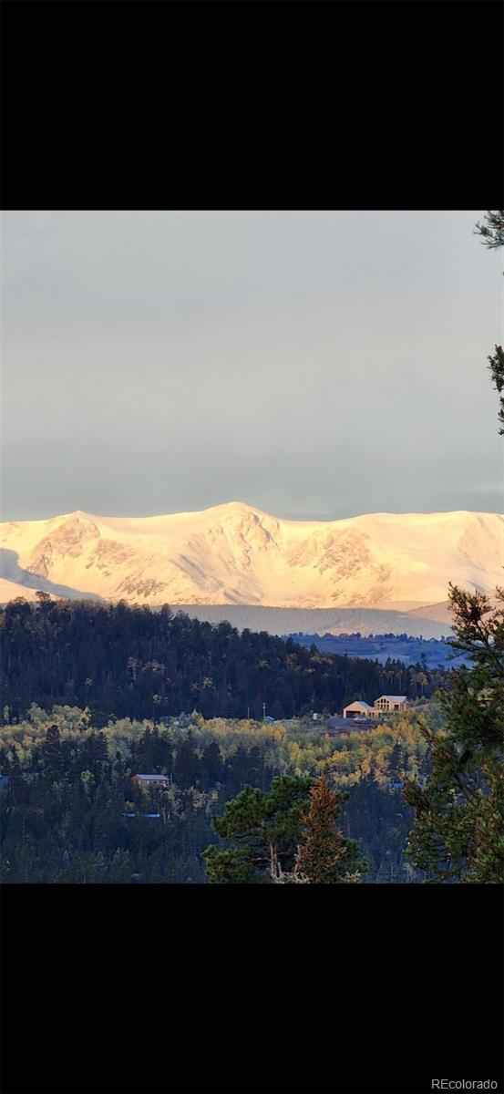 MLS Image #31 for 253  bear lane,jefferson, Colorado