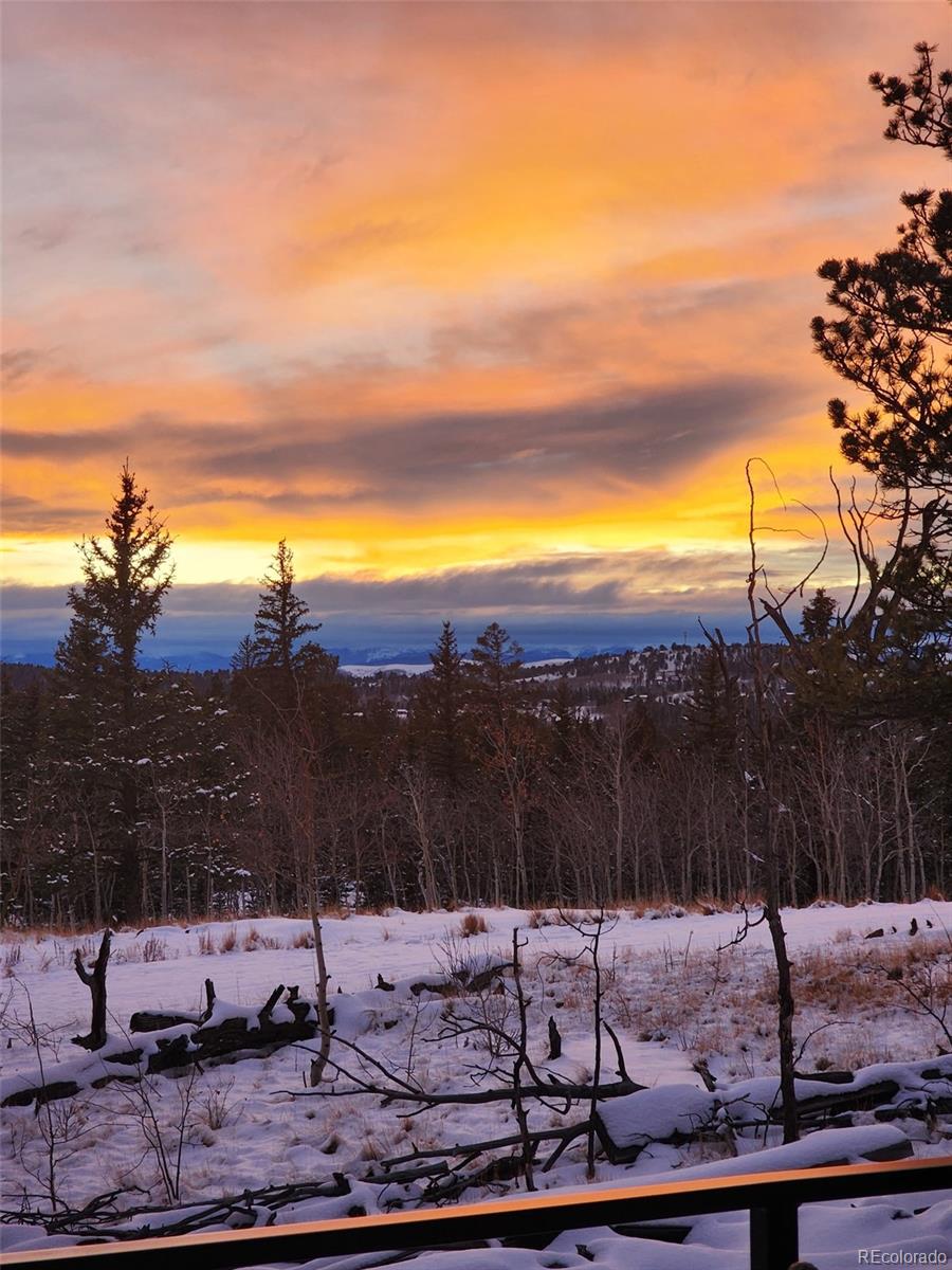 MLS Image #32 for 253  bear lane,jefferson, Colorado