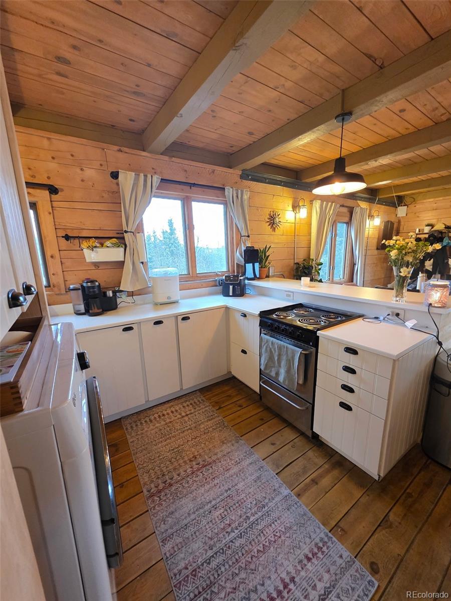 MLS Image #7 for 253  bear lane,jefferson, Colorado