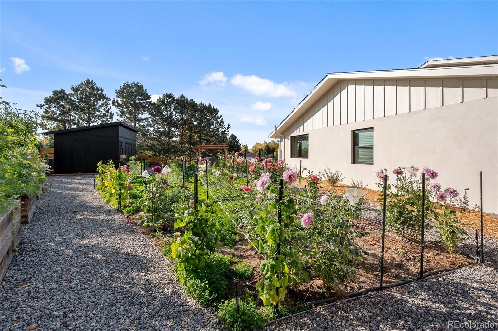 MLS Image #28 for 6709  walker court,niwot, Colorado