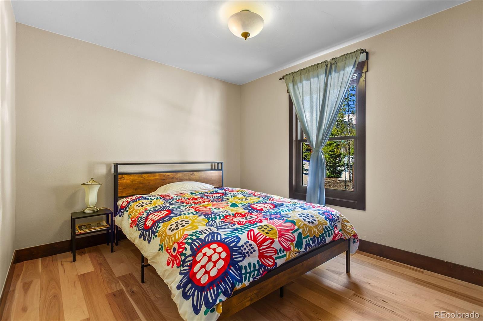 MLS Image #36 for 209  american way,breckenridge, Colorado