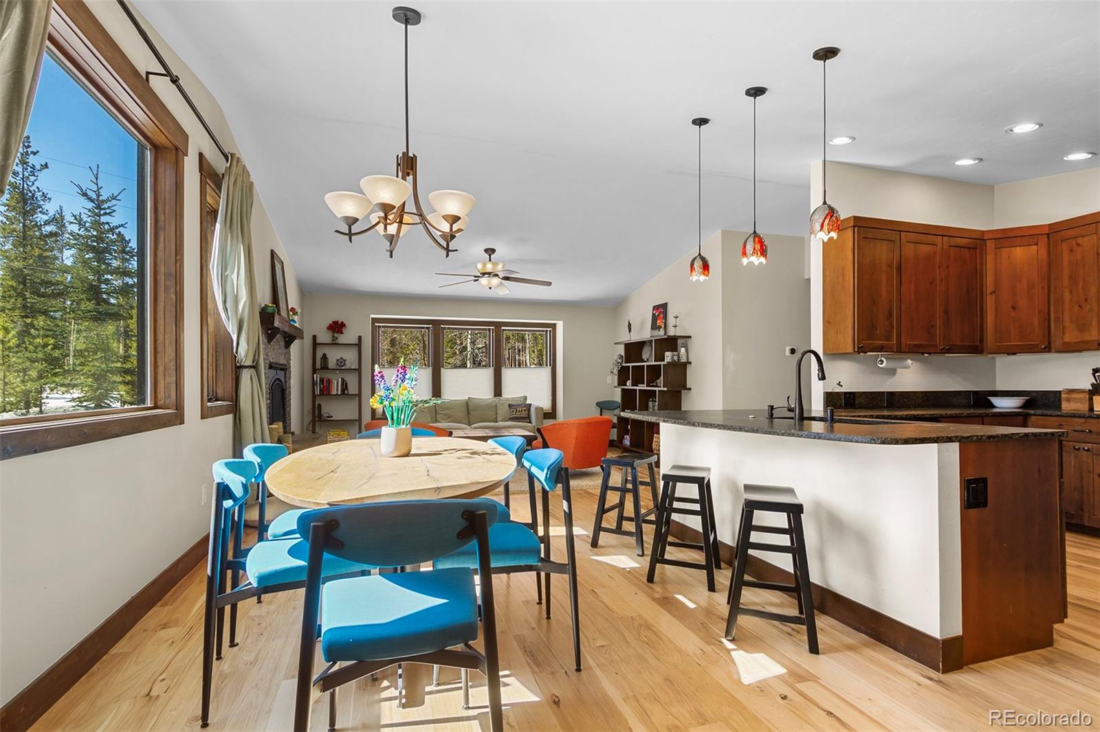 MLS Image #4 for 209  american way,breckenridge, Colorado