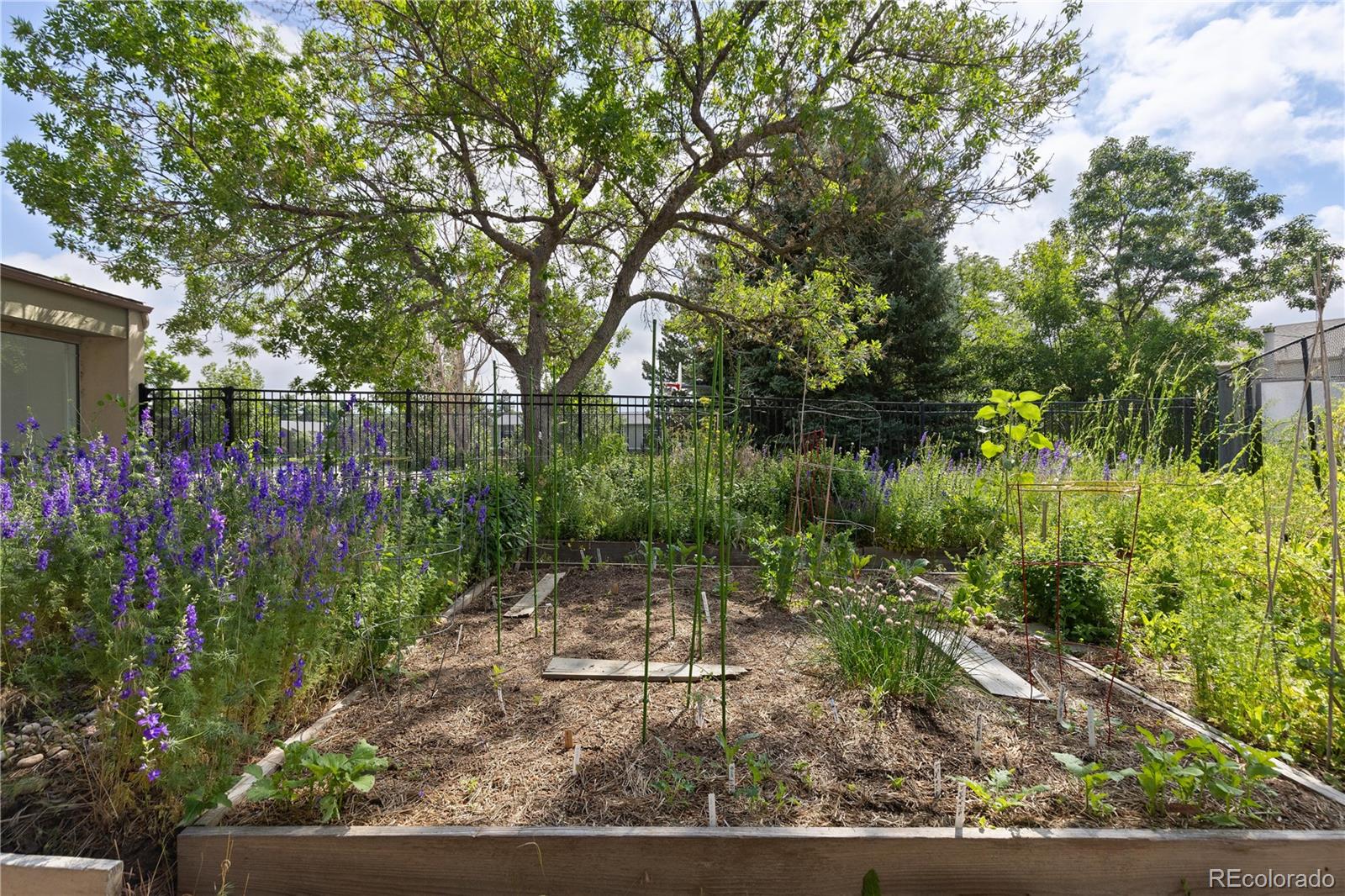 MLS Image #29 for 850 w moorhead circle,boulder, Colorado