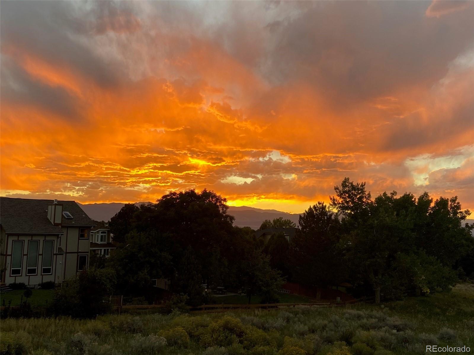 MLS Image #10 for 9385  prairie view drive,highlands ranch, Colorado