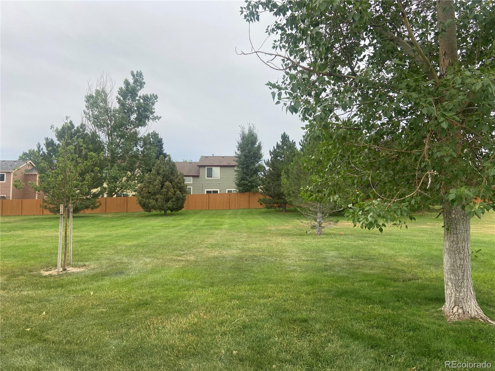 MLS Image #29 for 5327  suffolk circle,castle rock, Colorado