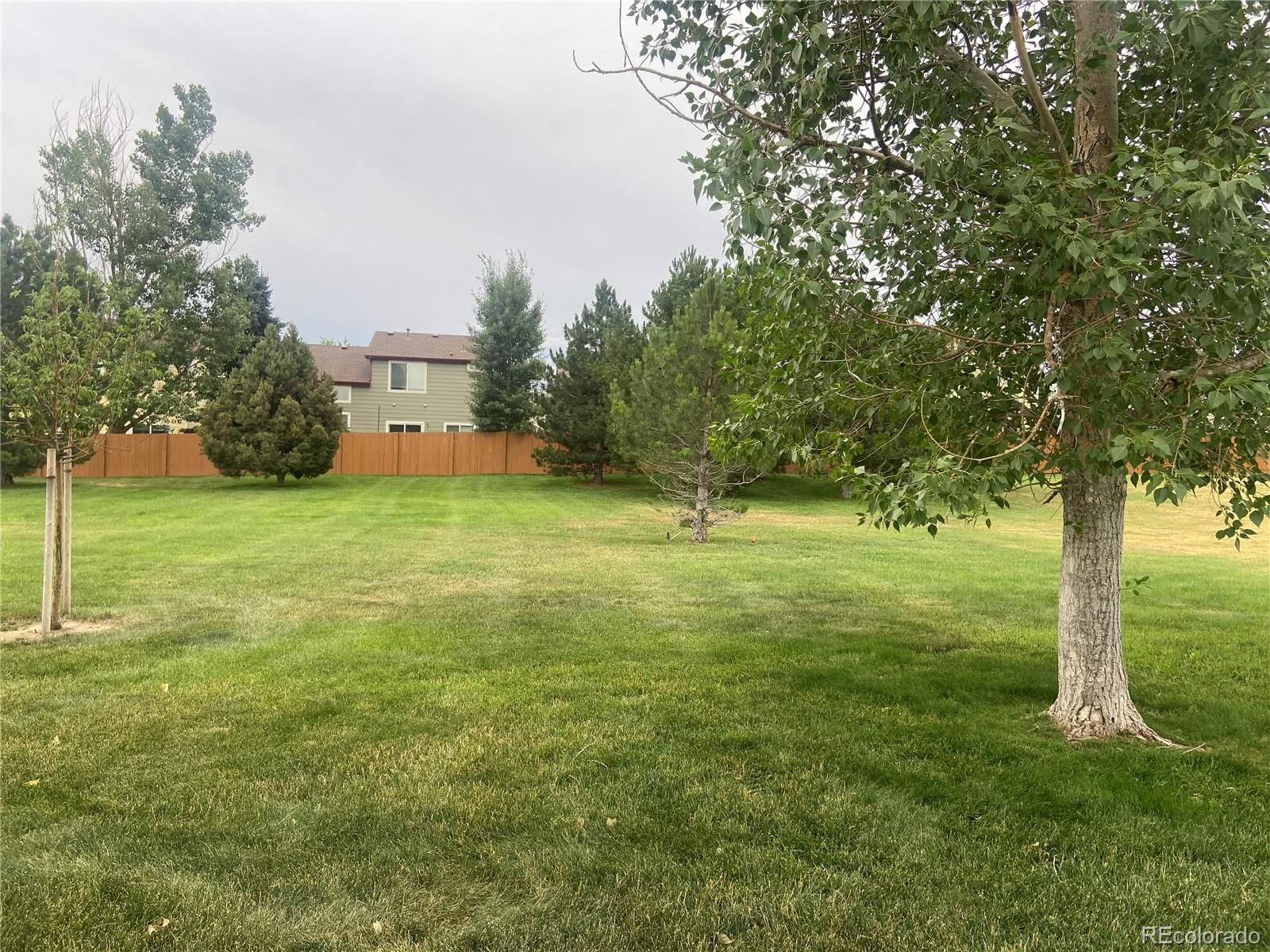 MLS Image #30 for 5327  suffolk circle,castle rock, Colorado