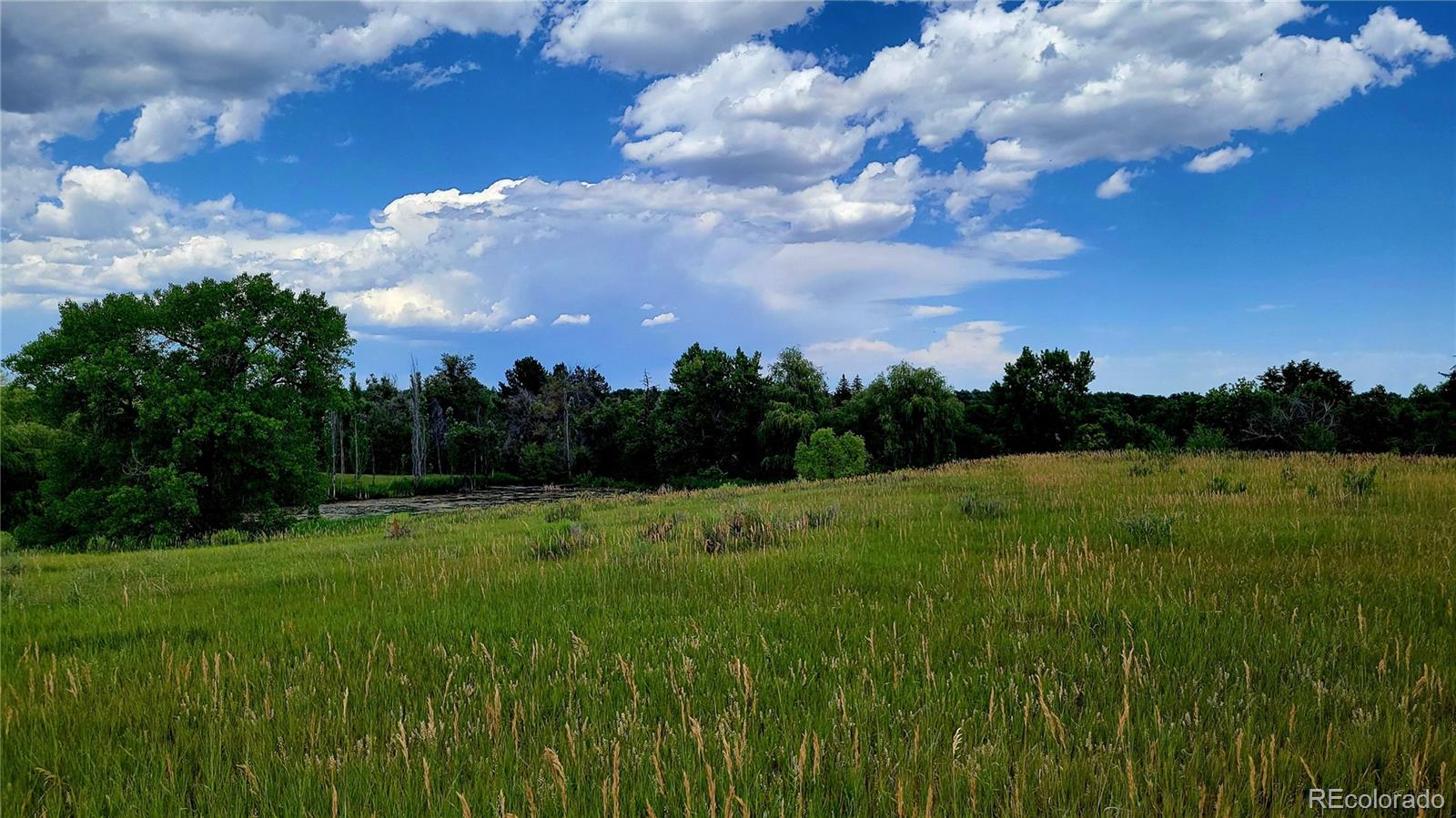 MLS Image #45 for 7784  lewis street,arvada, Colorado