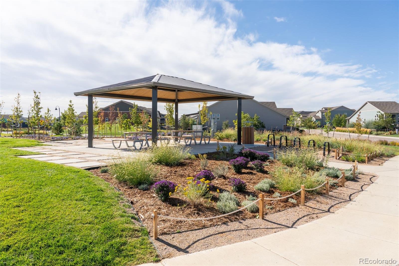 MLS Image #49 for 4142  saltbrush court,loveland, Colorado