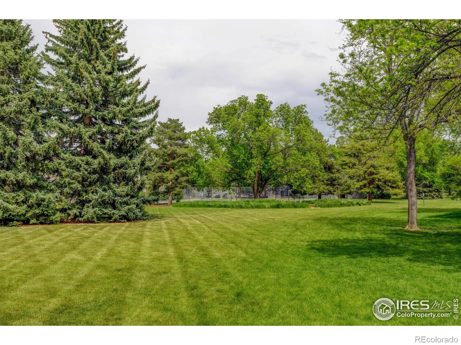 MLS Image #25 for 801 e drake road,fort collins, Colorado
