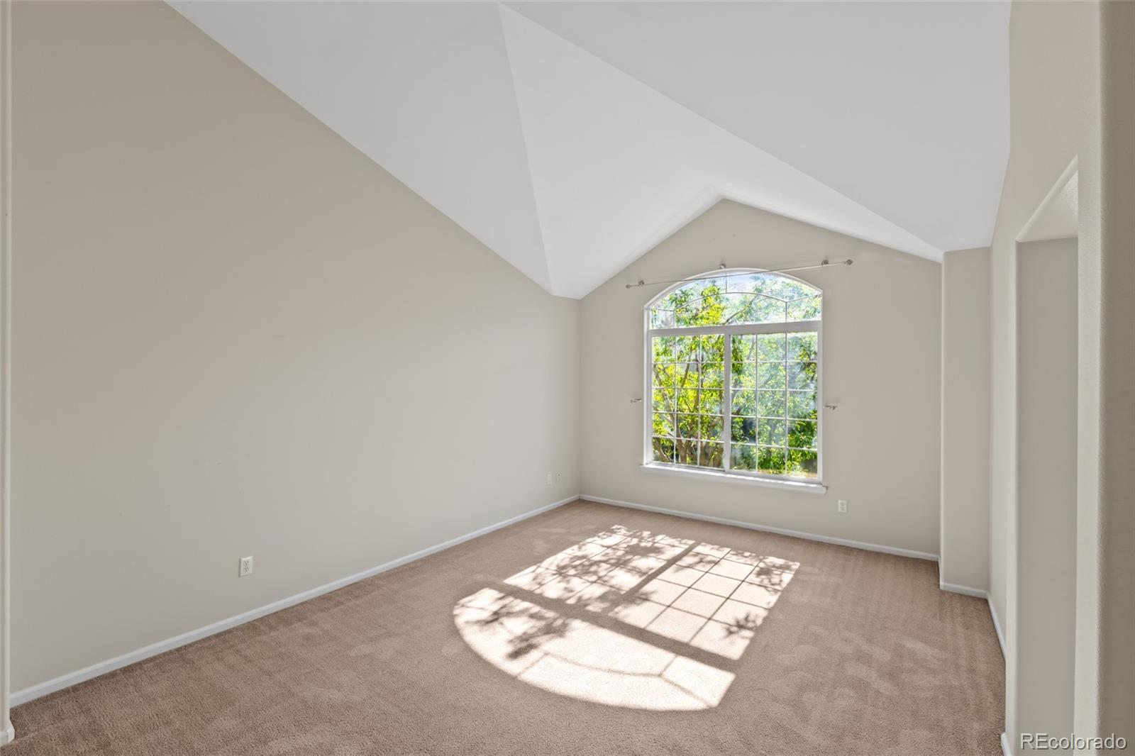MLS Image #13 for 8399  stonybridge circle,highlands ranch, Colorado