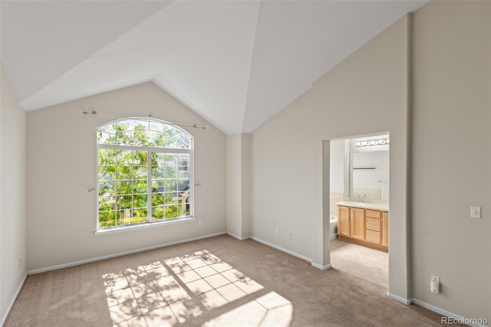 MLS Image #14 for 8399  stonybridge circle,highlands ranch, Colorado