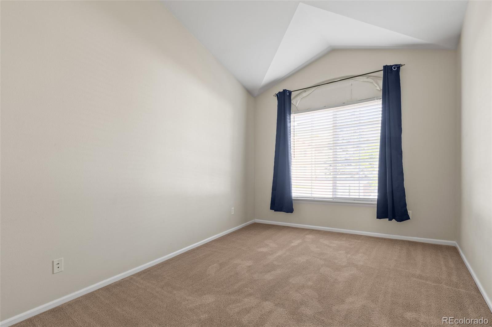 MLS Image #21 for 8399  stonybridge circle,highlands ranch, Colorado