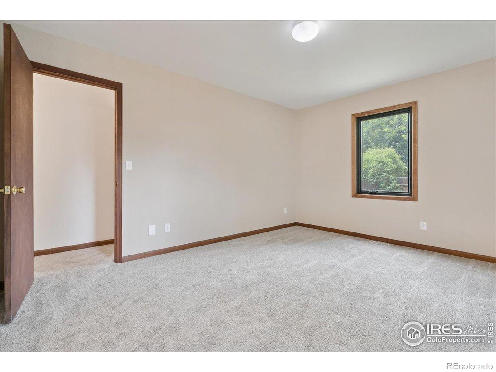 MLS Image #14 for 636  spurge circle,fort collins, Colorado