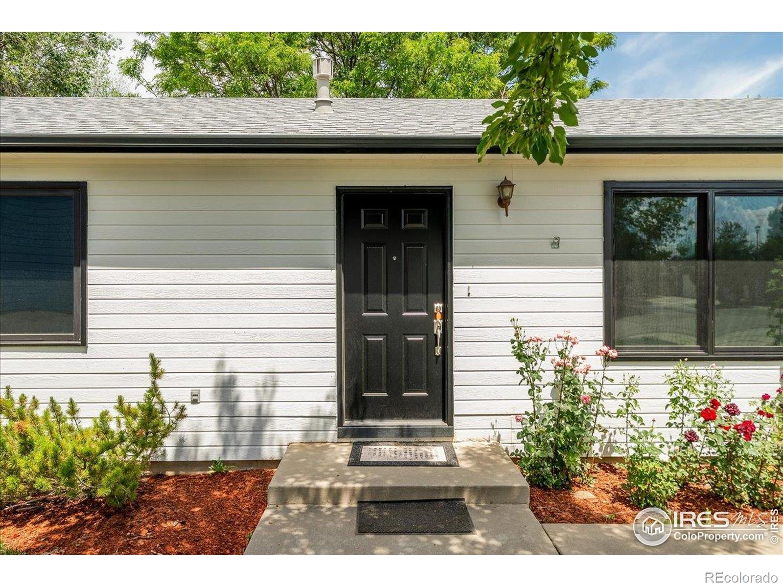 MLS Image #5 for 636  spurge circle,fort collins, Colorado