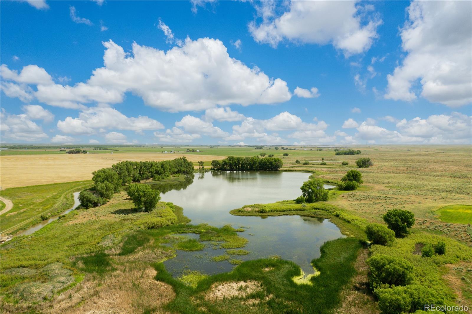 MLS Image #11 for 34427  county road w ,hillrose, Colorado