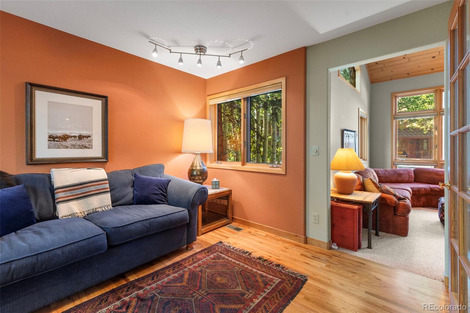 MLS Image #24 for 91  riverside place,frisco, Colorado