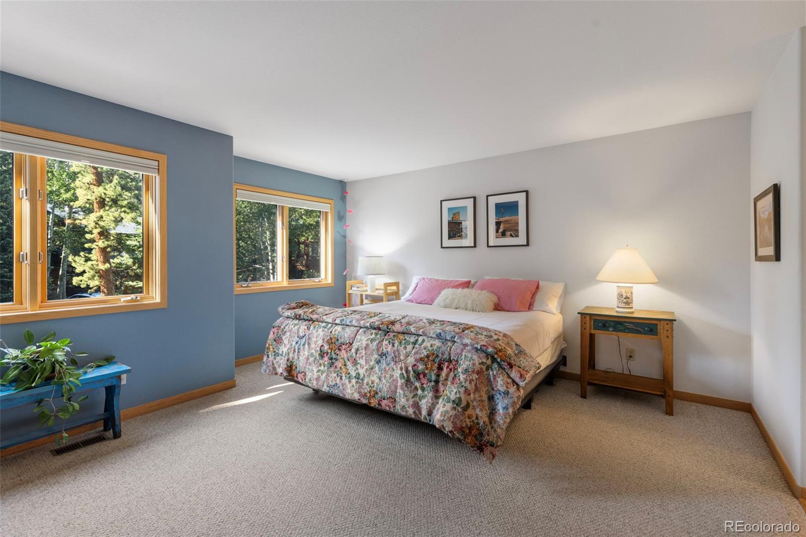 MLS Image #30 for 91  riverside place,frisco, Colorado