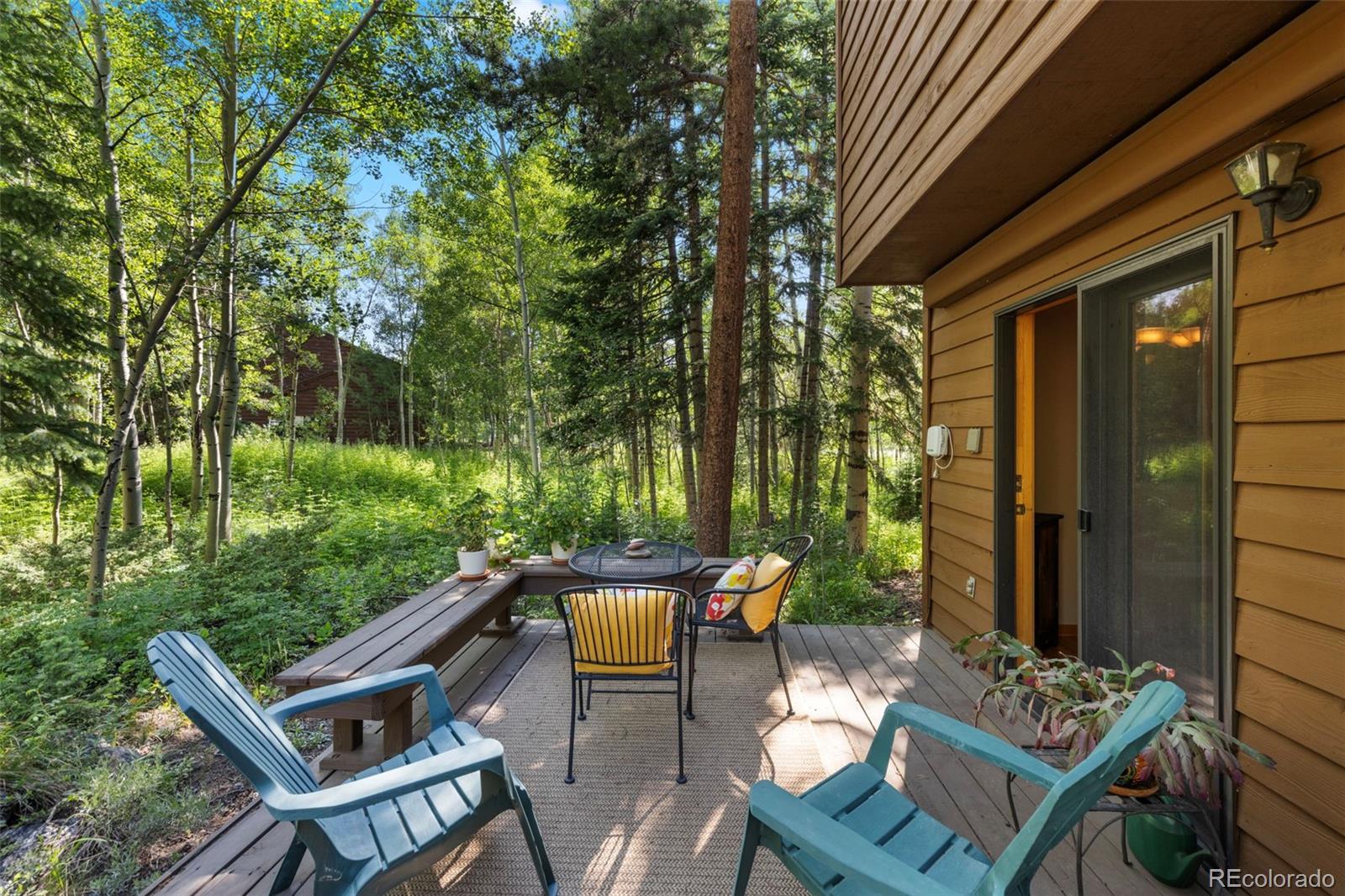 MLS Image #41 for 91  riverside place,frisco, Colorado
