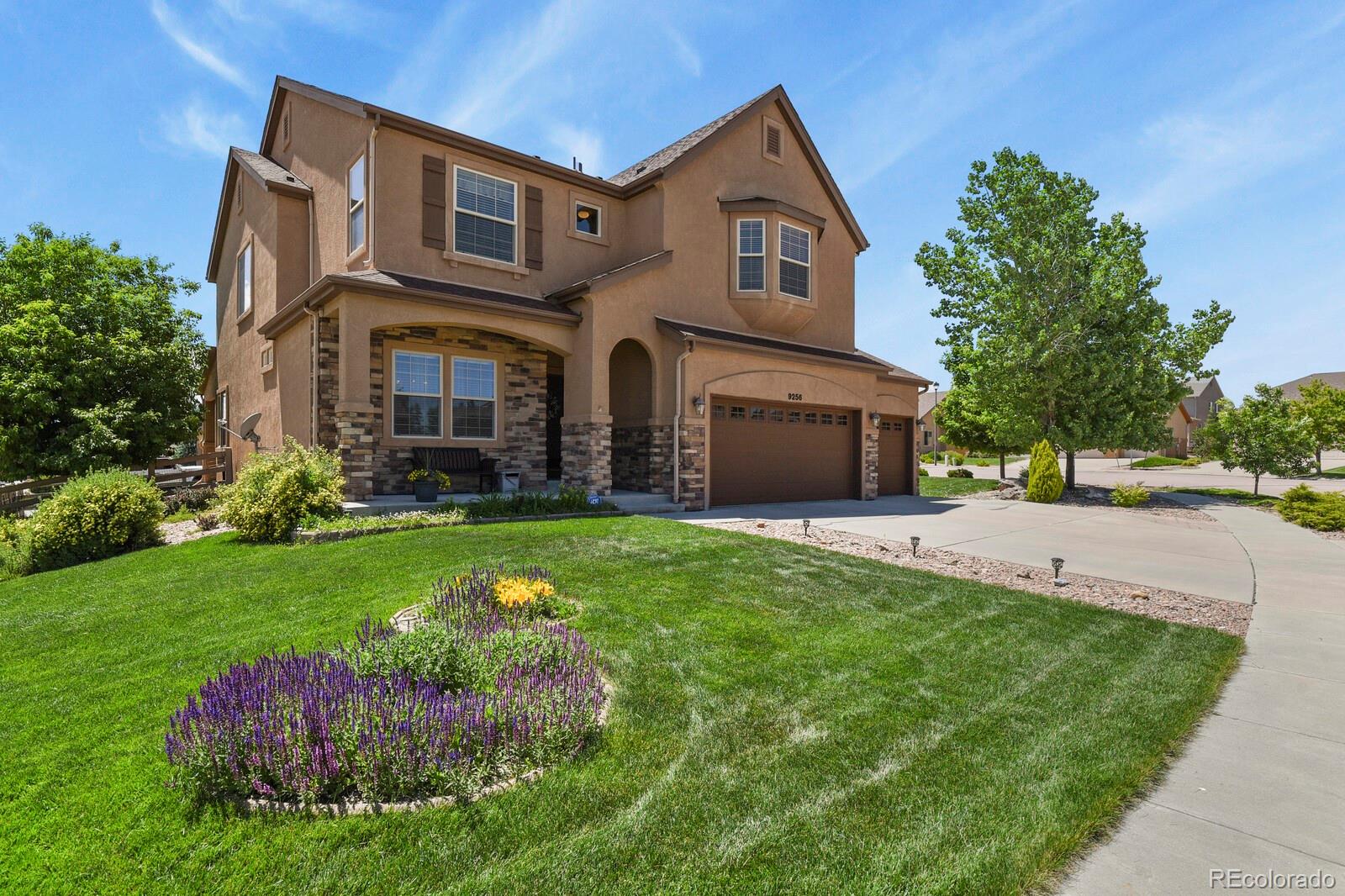 MLS Image #5 for 9256  penobscot court,colorado springs, Colorado