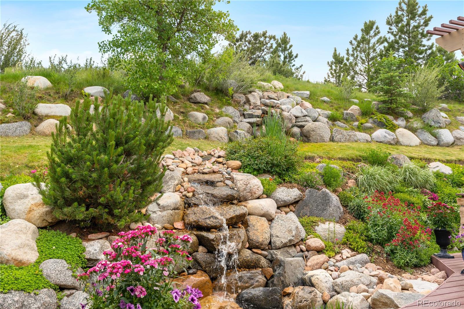 MLS Image #4 for 276  ember place,castle rock, Colorado