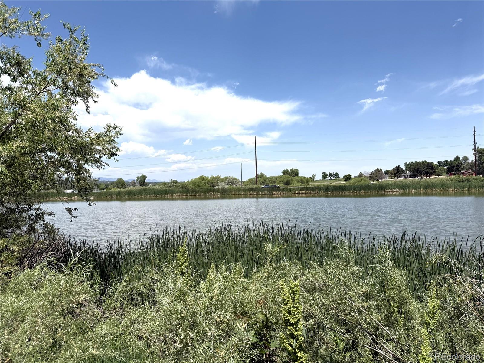 MLS Image #26 for 4451 s ammons street,littleton, Colorado