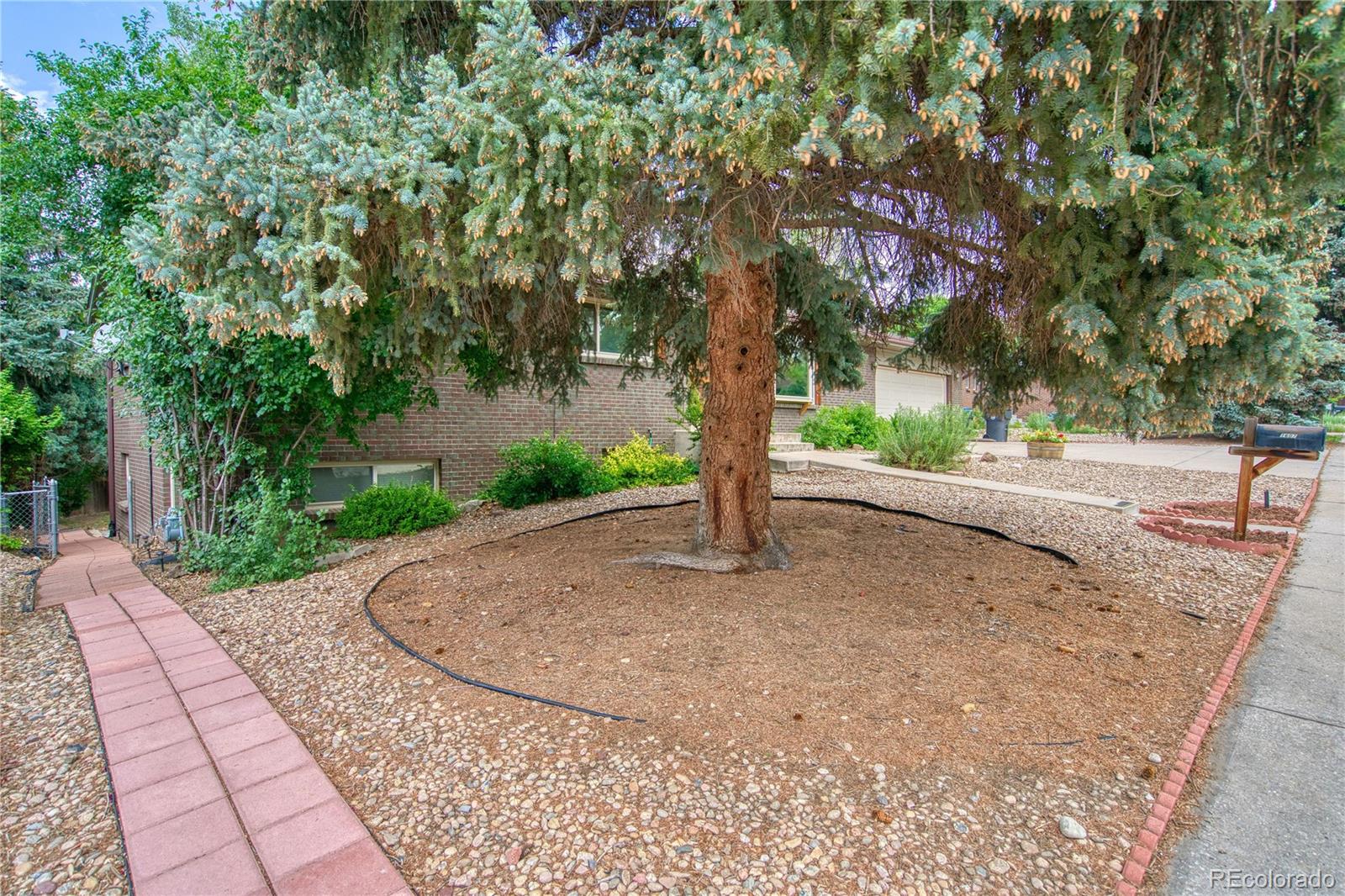 MLS Image #19 for 1607  ulysses street,golden, Colorado