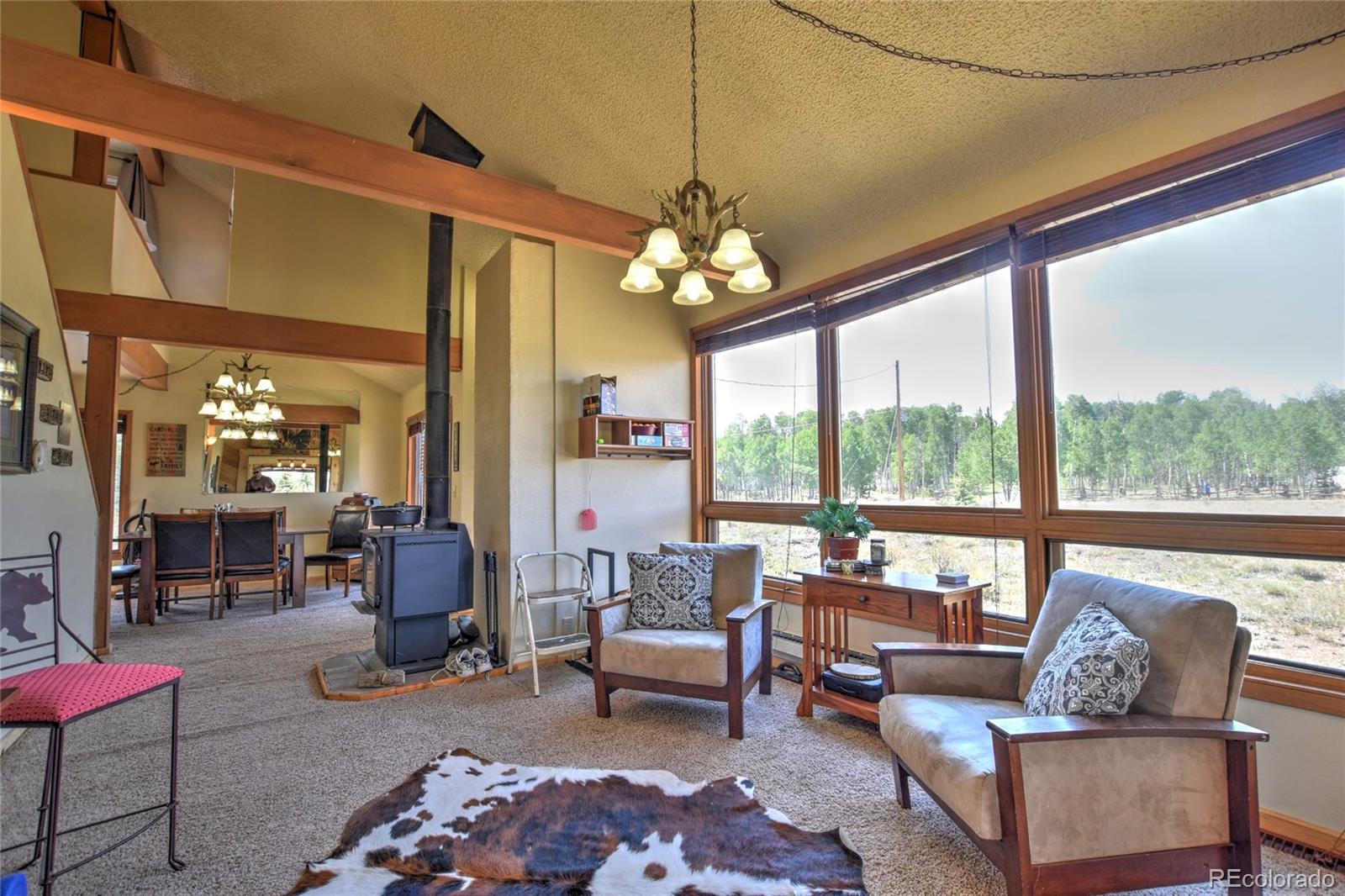 MLS Image #12 for 275  vulture lane,como, Colorado