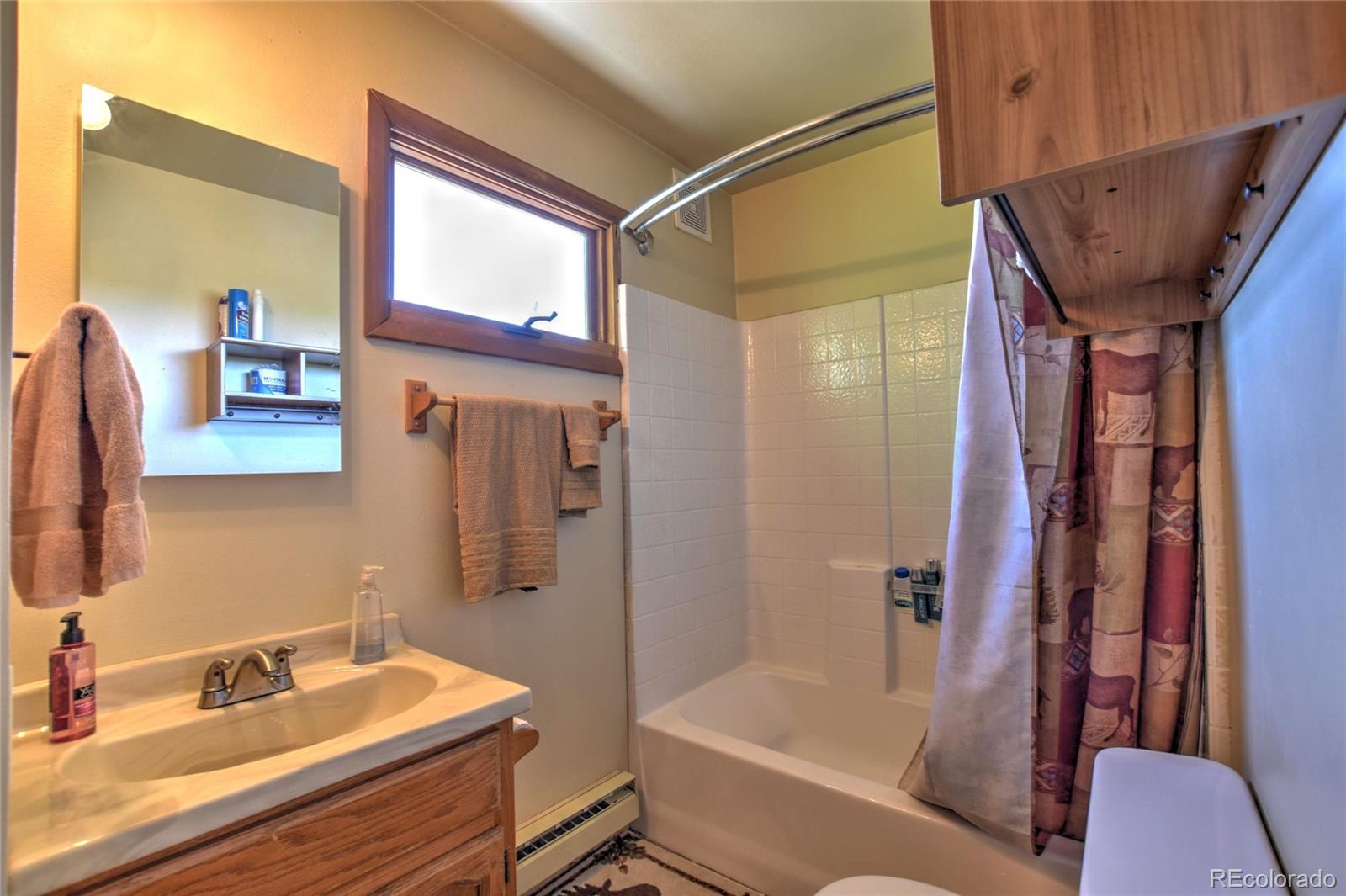 MLS Image #27 for 275  vulture lane,como, Colorado