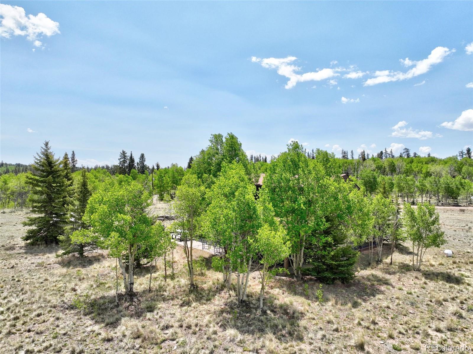 MLS Image #3 for 275  vulture lane,como, Colorado