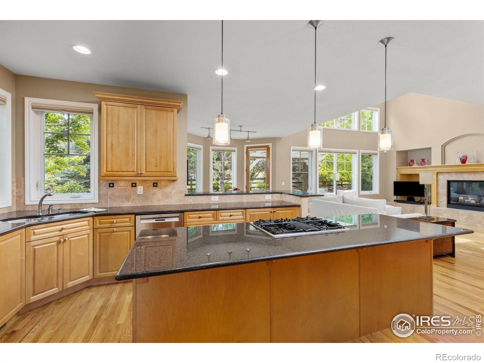 MLS Image #7 for 1231  hawk ridge road,lafayette, Colorado