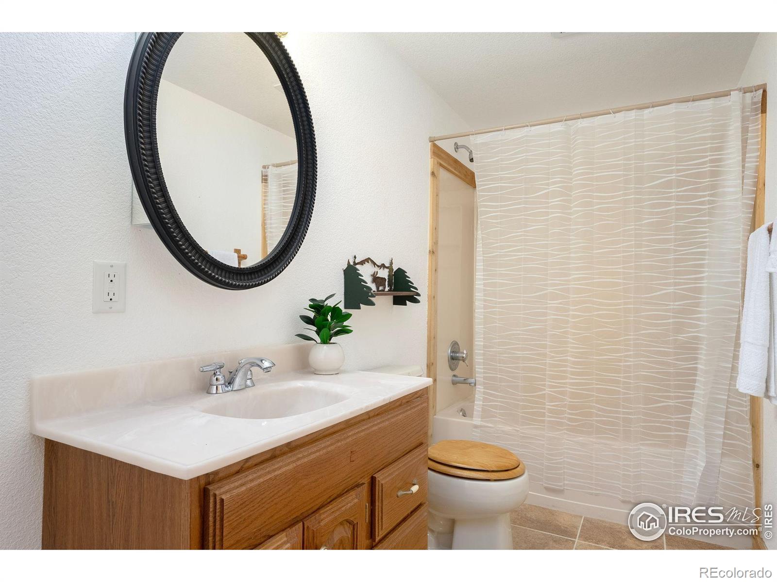 MLS Image #35 for 132  singing pines court,livermore, Colorado