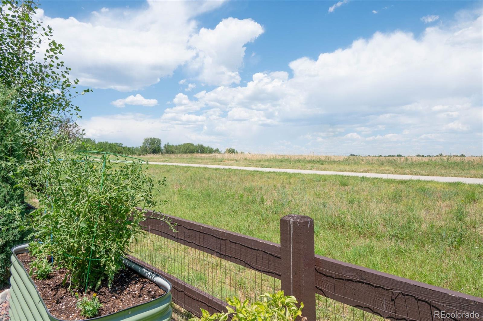 MLS Image #21 for 793  compass drive,erie, Colorado