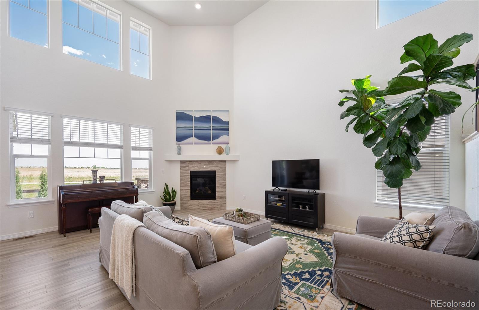 MLS Image #9 for 793  compass drive,erie, Colorado