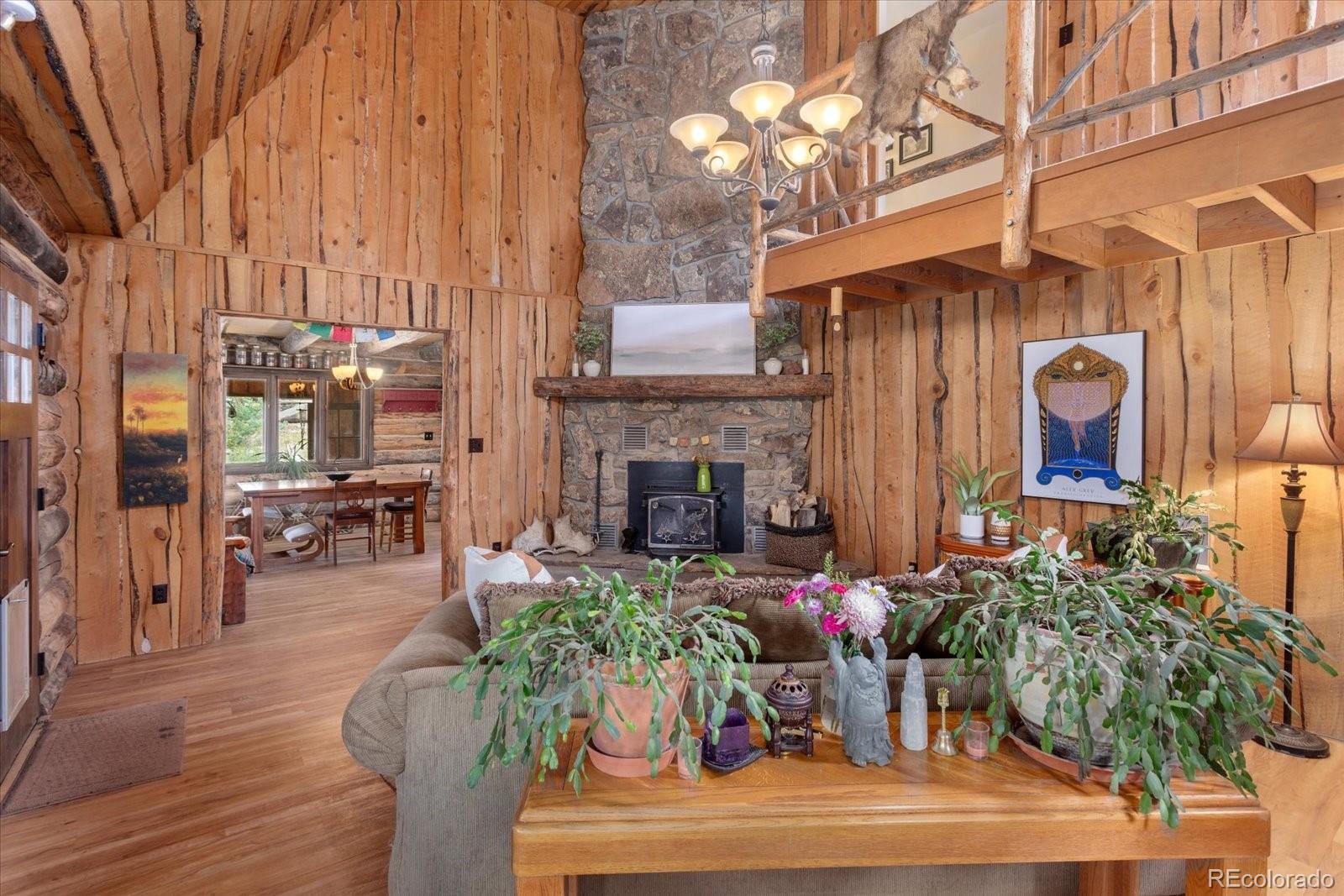 MLS Image #4 for 18680  wapiti circle,buena vista, Colorado