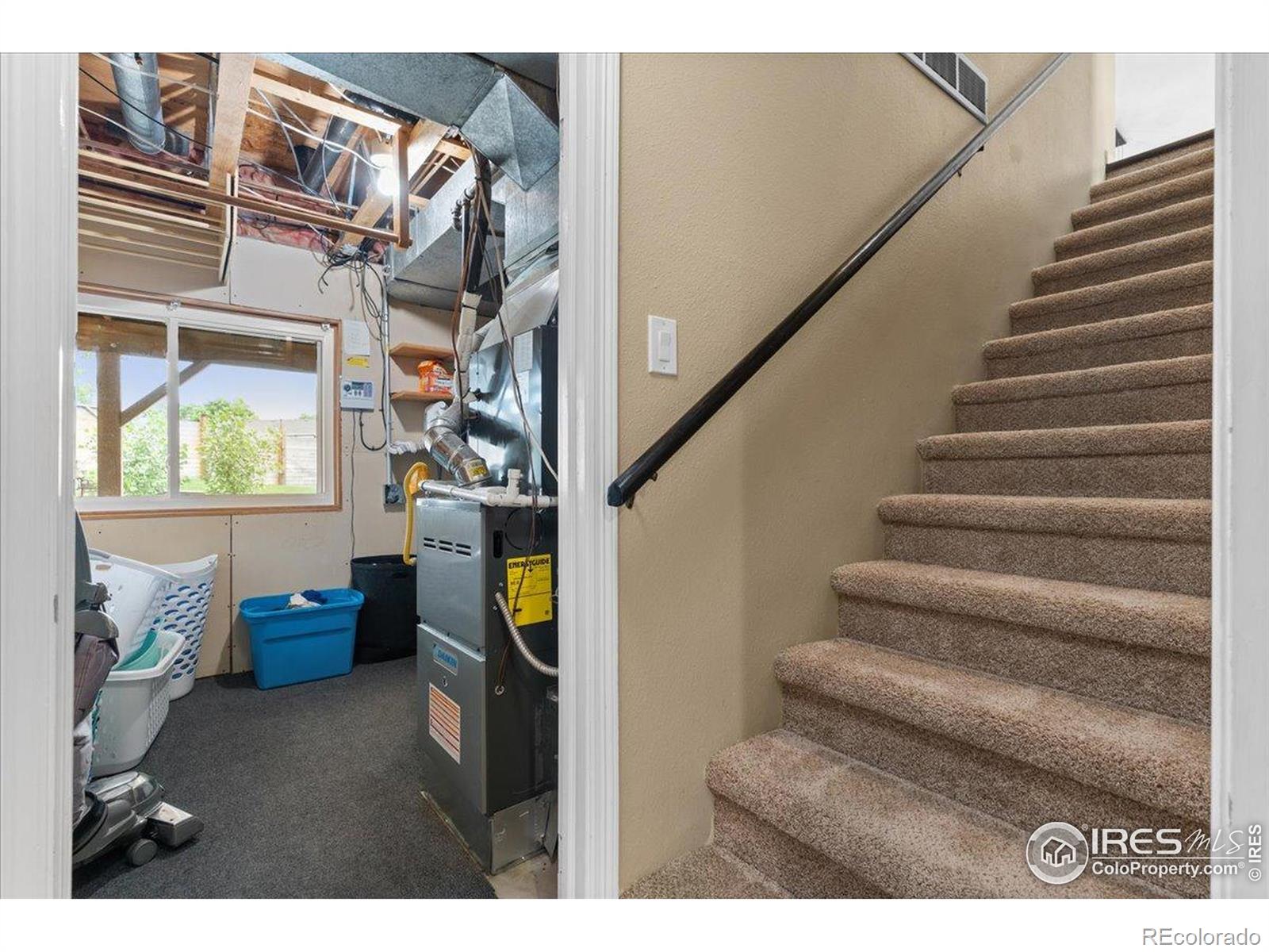 MLS Image #19 for 4019  burr oak drive,loveland, Colorado