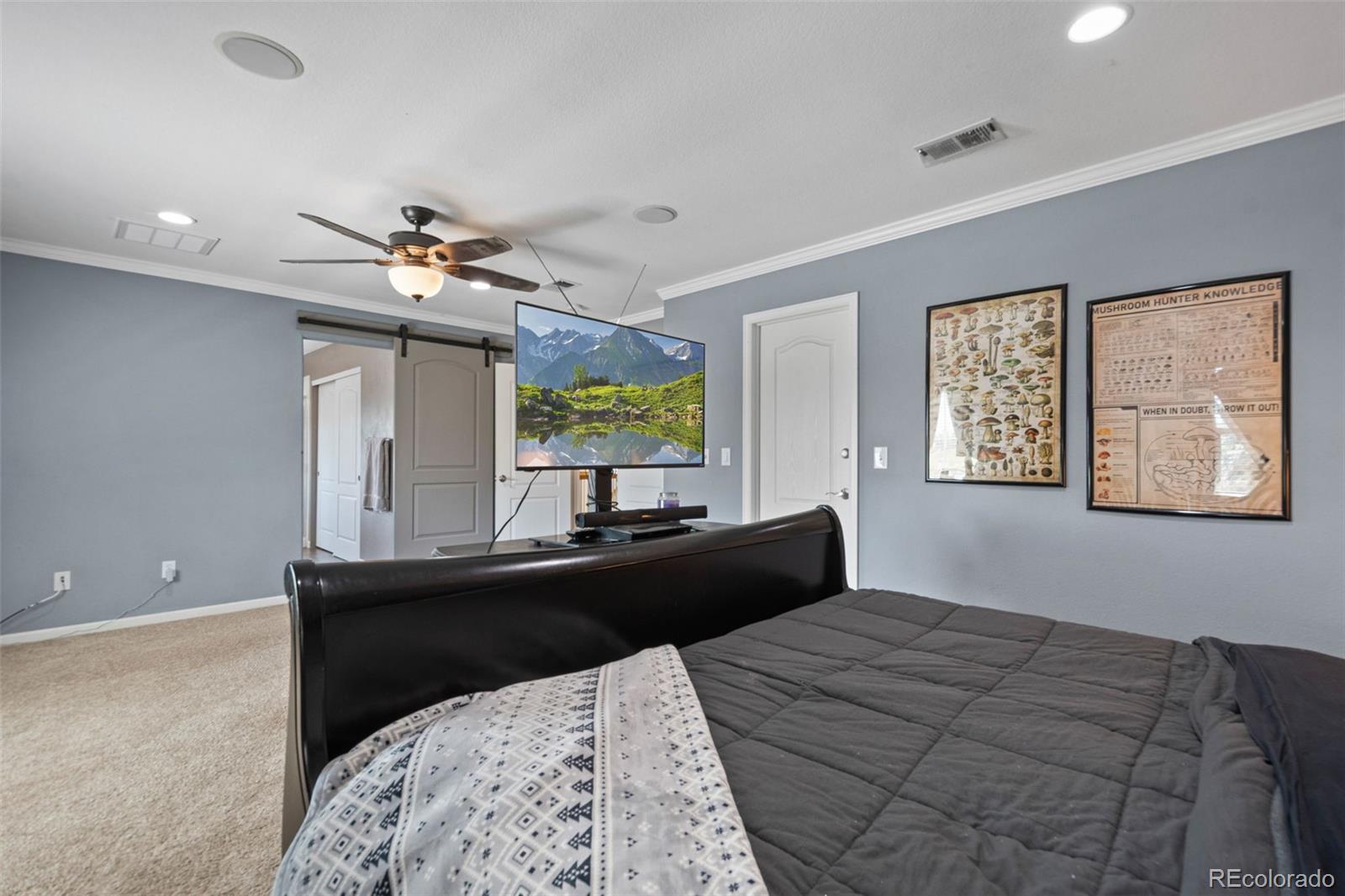 MLS Image #21 for 5009  mt osage street,frederick, Colorado