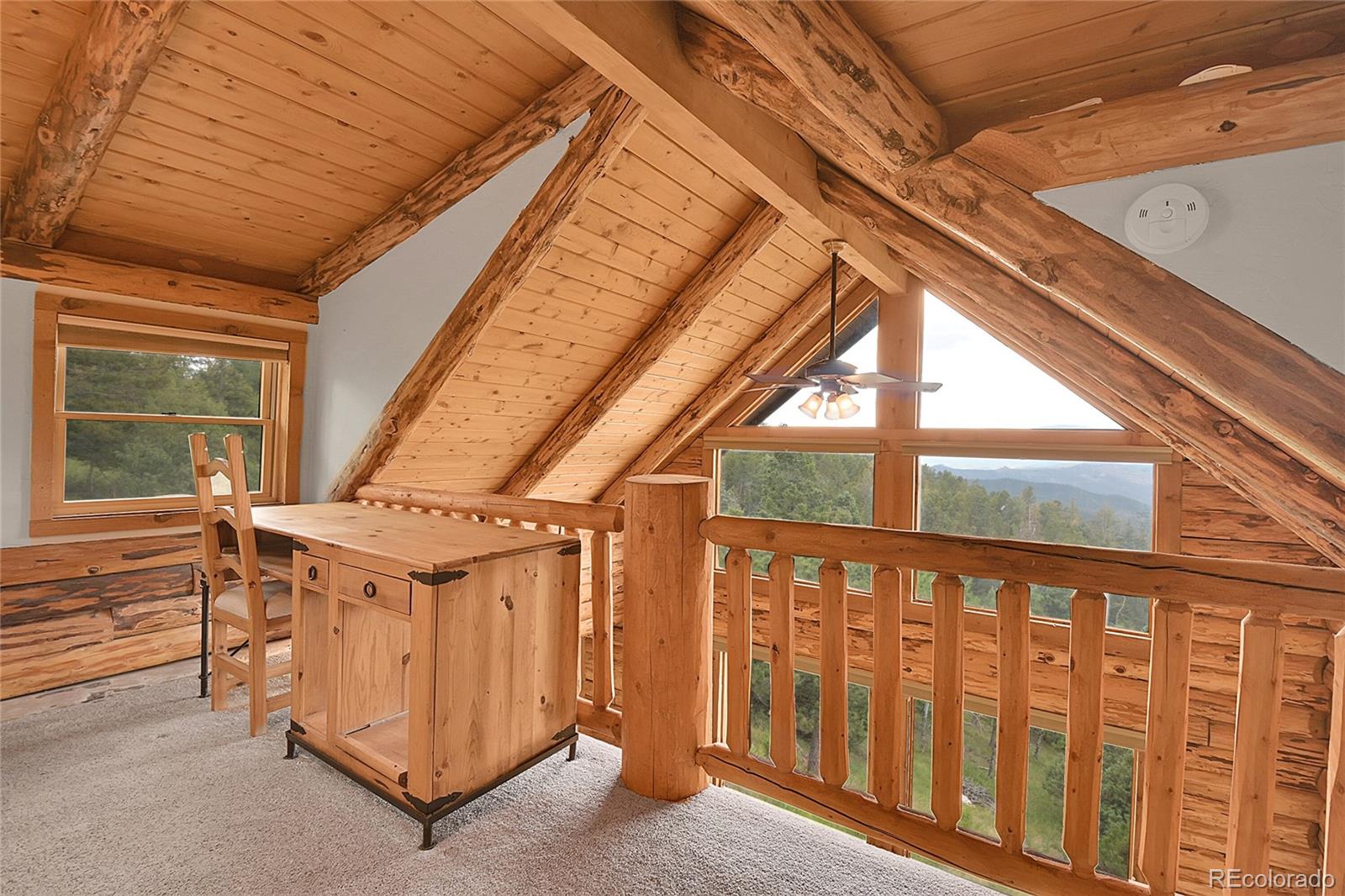 MLS Image #22 for 25704  shiloh ,conifer, Colorado