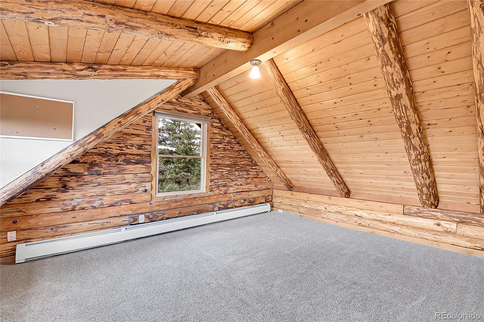 MLS Image #24 for 25704  shiloh ,conifer, Colorado