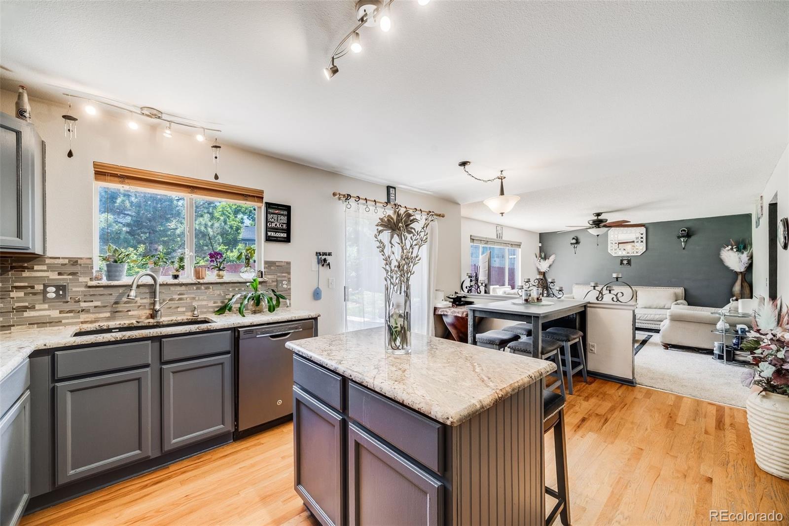 MLS Image #13 for 4422 e andover avenue,castle rock, Colorado
