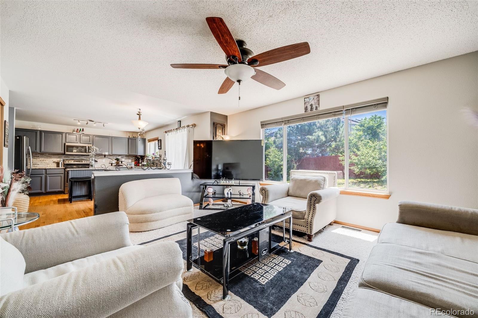 MLS Image #8 for 4422 e andover avenue,castle rock, Colorado
