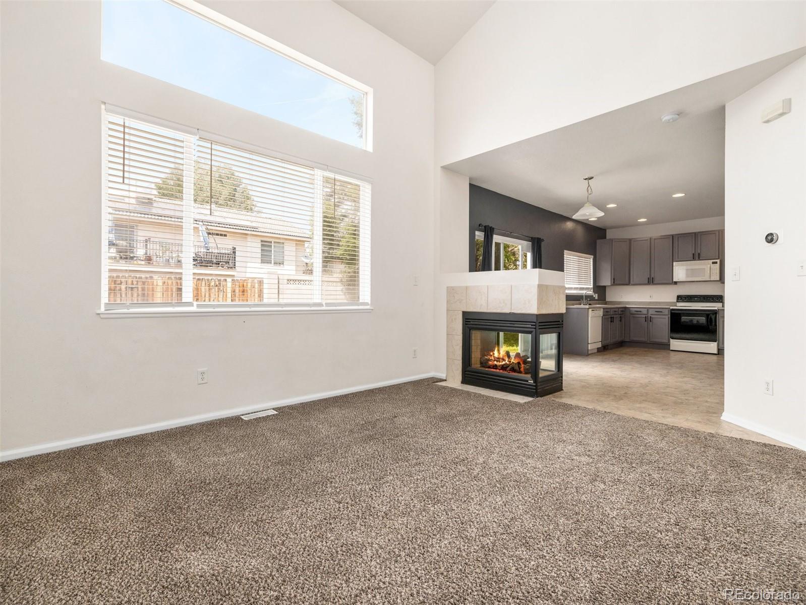 MLS Image #8 for 2117  settlers drive,pueblo, Colorado