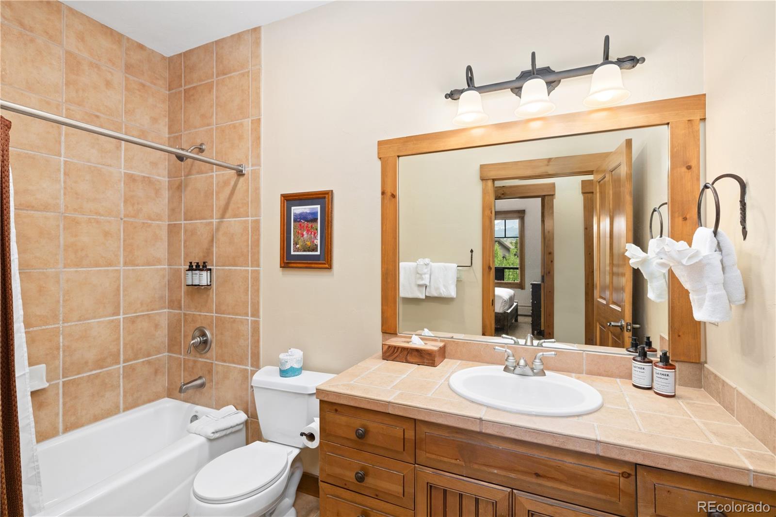 MLS Image #12 for 50  mountain thunder drive 1402,breckenridge, Colorado