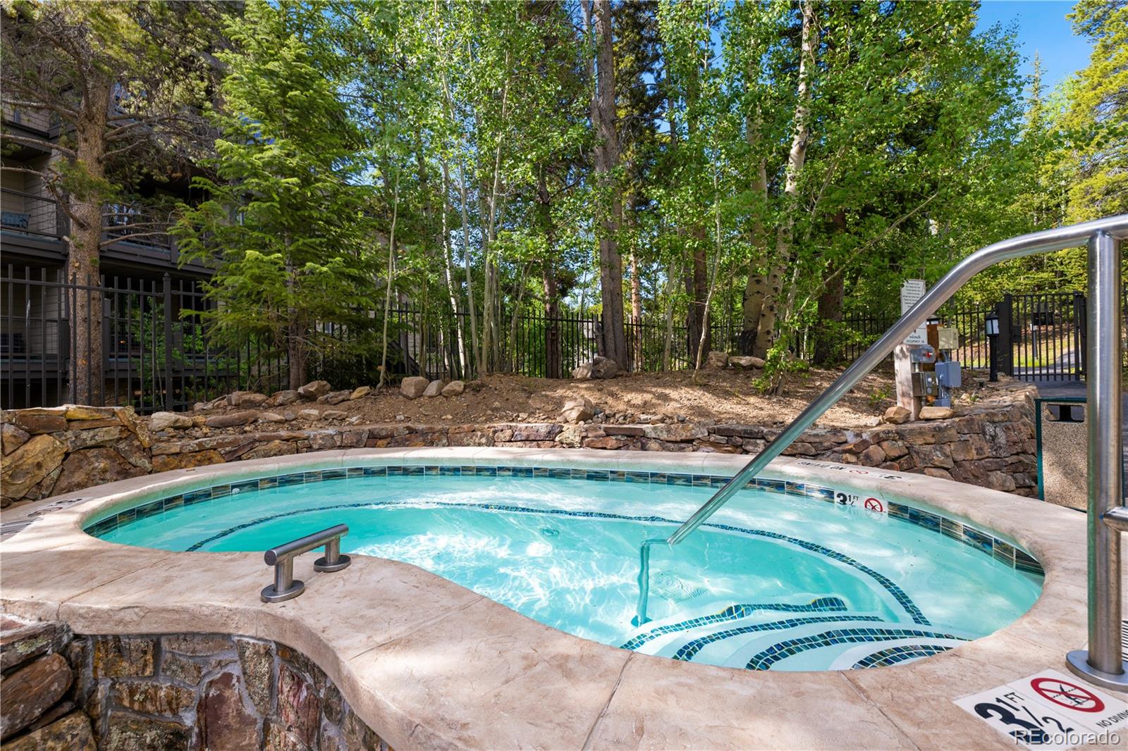 MLS Image #19 for 50  mountain thunder drive 1402,breckenridge, Colorado
