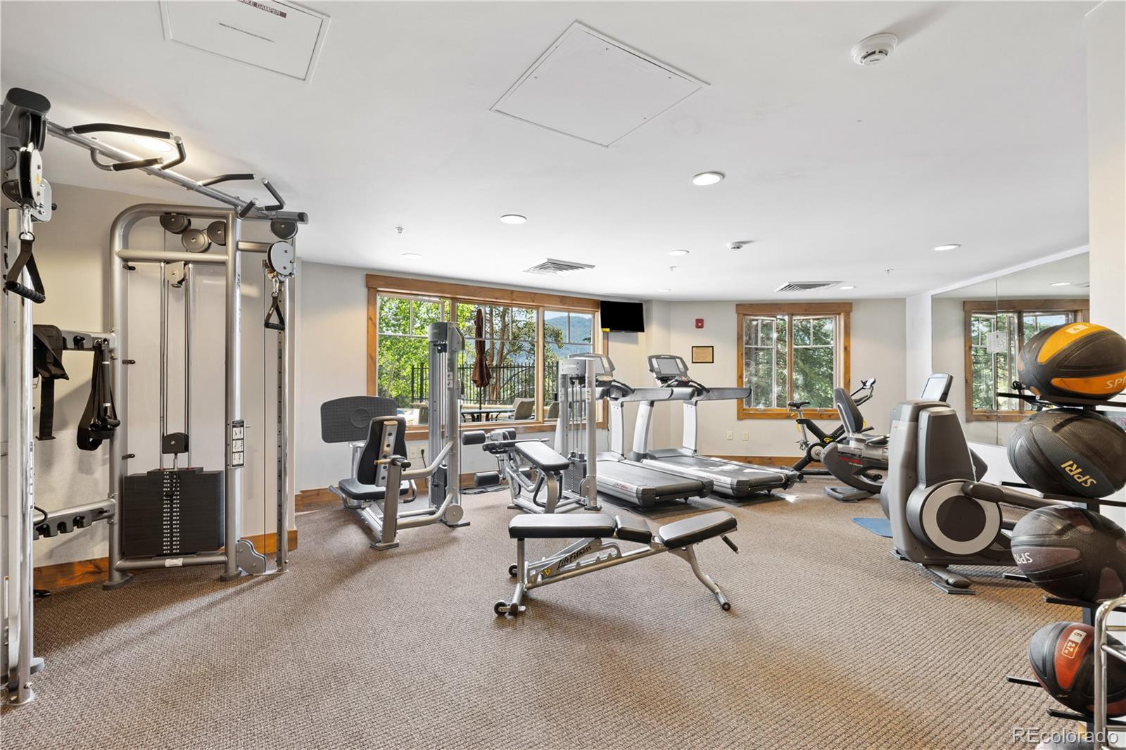 MLS Image #22 for 50  mountain thunder drive 1402,breckenridge, Colorado