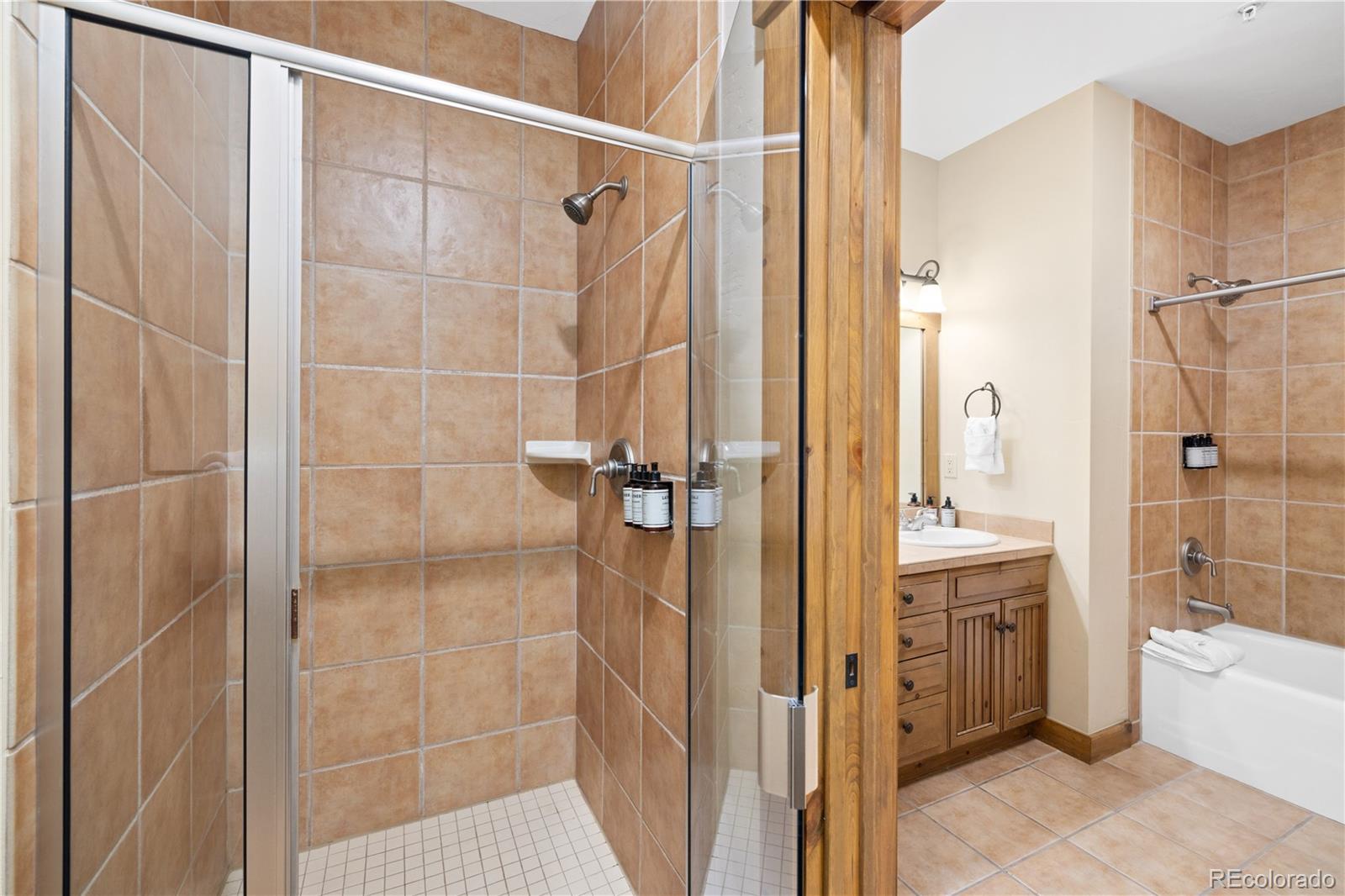 MLS Image #8 for 50  mountain thunder drive 1402,breckenridge, Colorado