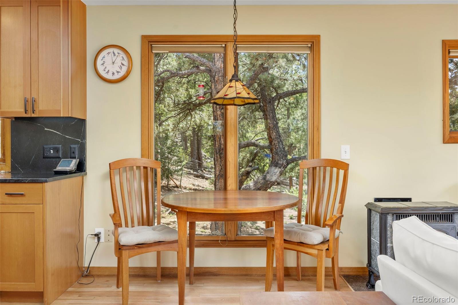 MLS Image #12 for 474  hummer drive,nederland, Colorado