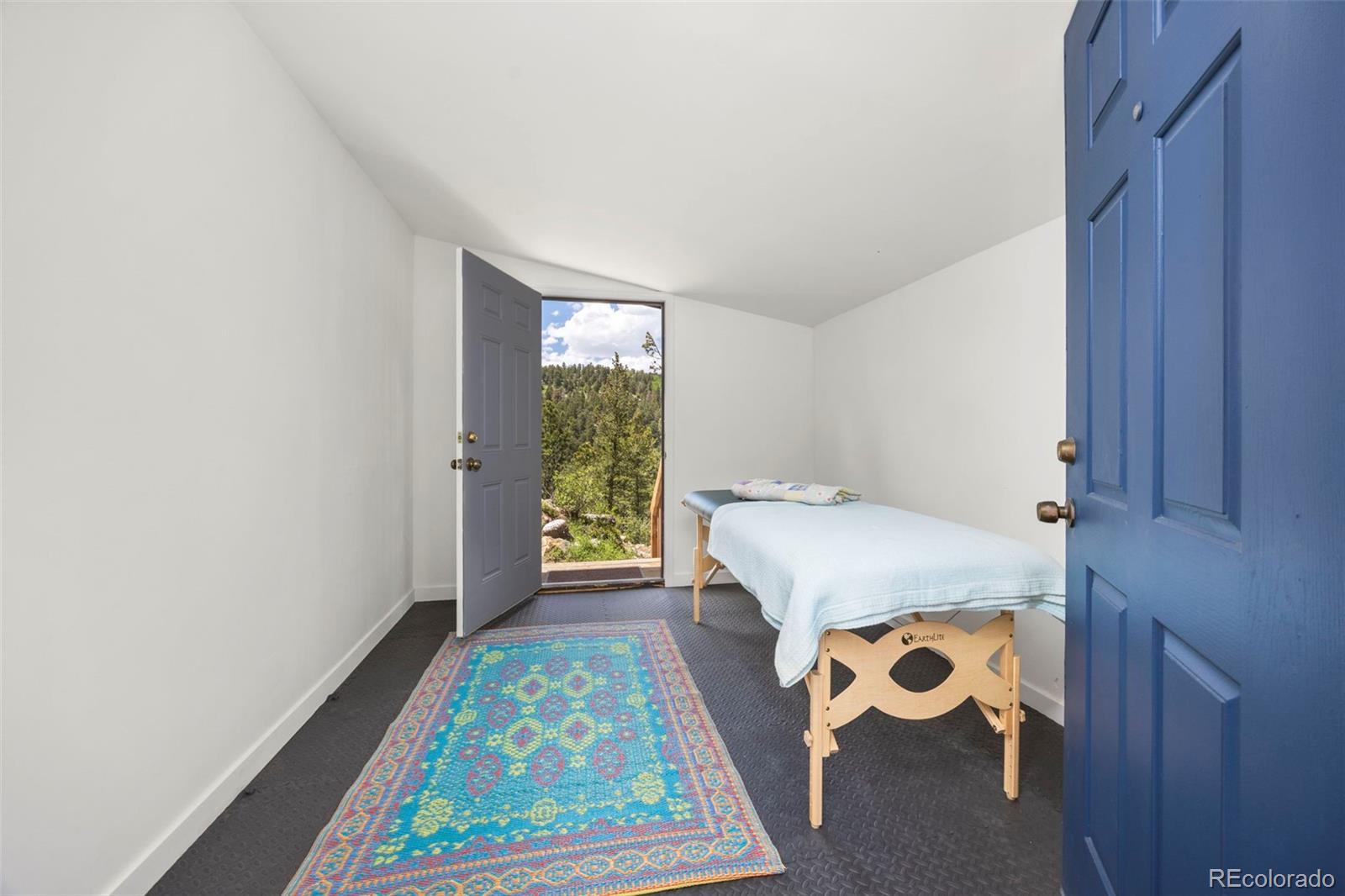 MLS Image #20 for 474  hummer drive,nederland, Colorado